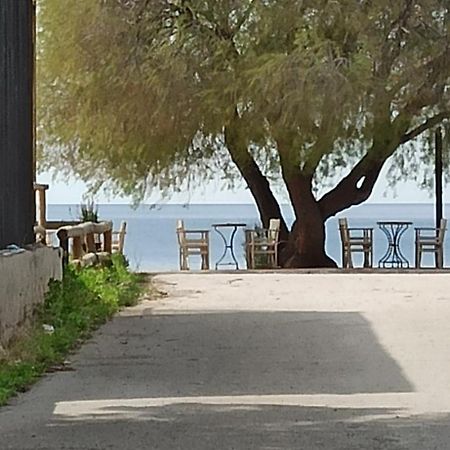 Ψάθα Παραλία Βίλα Εξωτερικό φωτογραφία